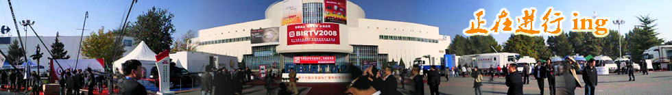 BIRTV2008
