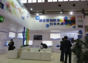 Image-1